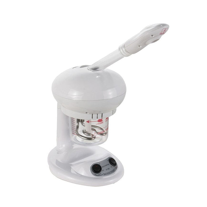 Mini Facial Steamer F-100C