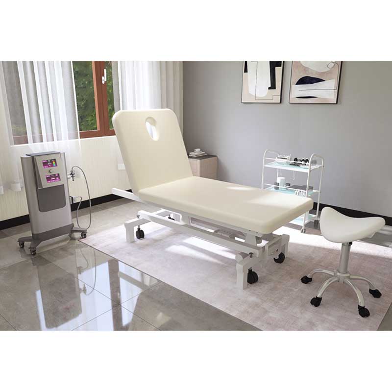 Beautyace Cale Spa Electric Multi-Purpose Doctor's Reclining Work Bed