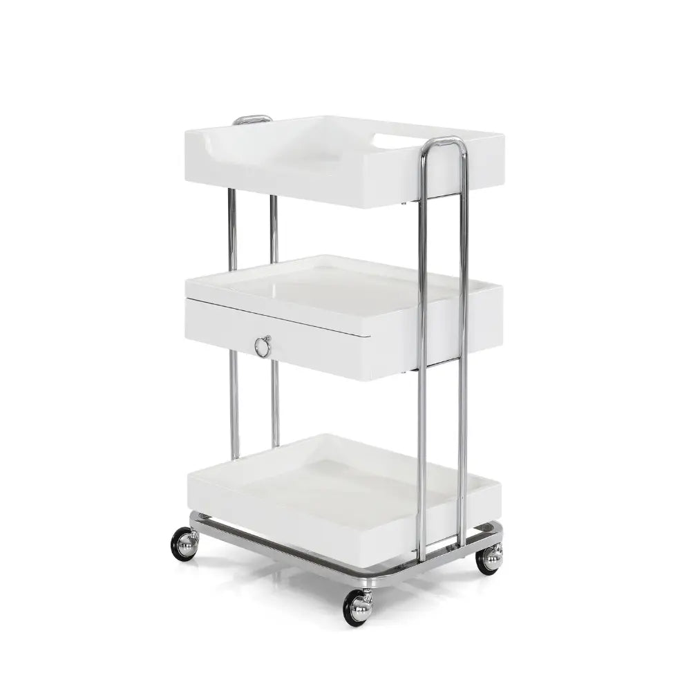 Rico Beauty Salon One Drawer Cart