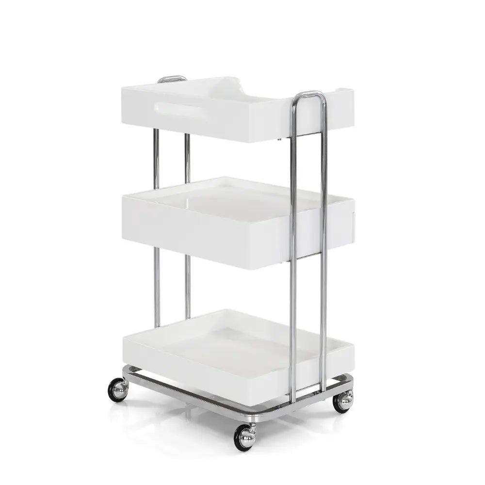 Rico Beauty Salon One Drawer Cart